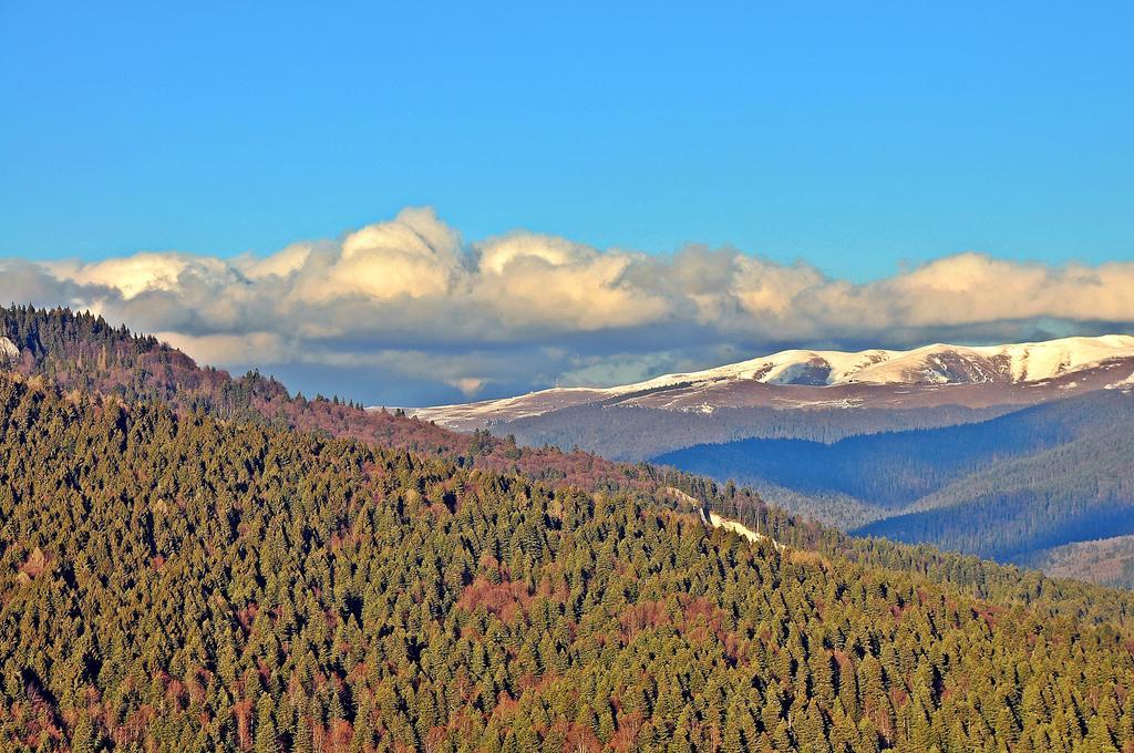 Hanul Cu Ursi Sinaia Exteriér fotografie